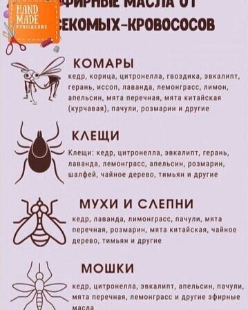 Татьяна Gala Анатольевна в LOOKY. #слепни,#кровососы. Эфирные масла от нас...
