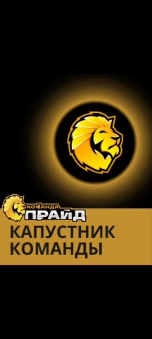 Елена Комогорова в LOOKY. #ПрайдКоманда,#СилаКоманды,#СетевойБизнес,#Лидерство,#Традиции,#РостВместе. ПРАЙД - КОМАНДА, ГДЕ...