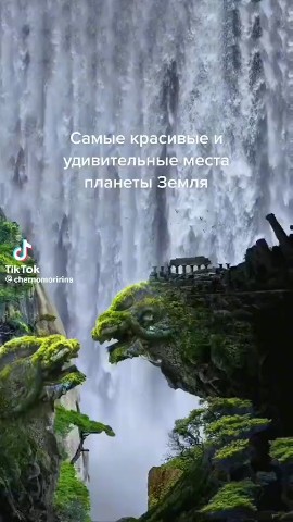 irinarad_wec в LOOKY. . 
