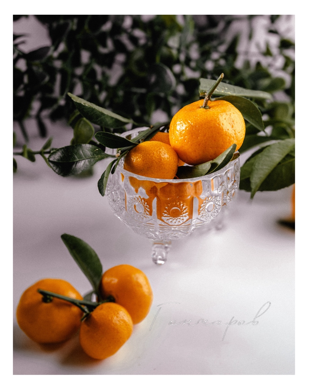 food fotograf в LOOKY — Фуд фотография является мощным инструментом для привлечения 