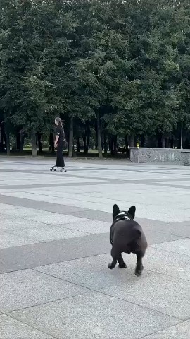 Looky_178327128880961 в LOOKY. . Бароша- достопримеча...