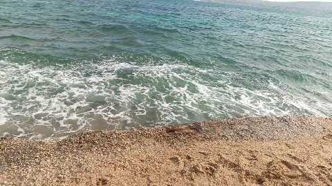 Никалетта в LOOKY. . Море) ) 