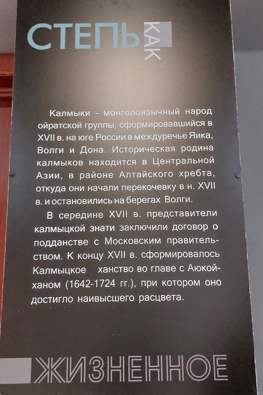 Галина Венн в LOOKY — фото 8