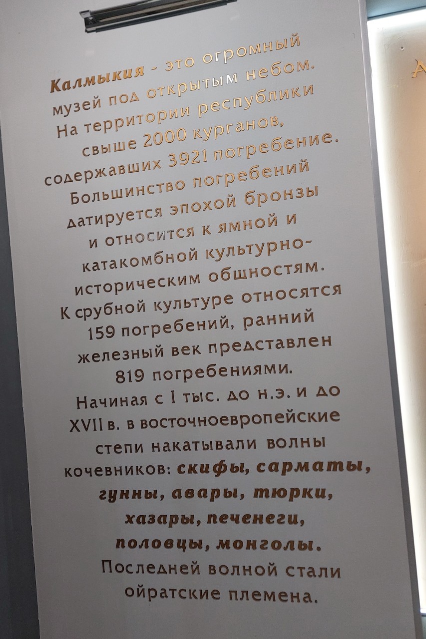 Галина Венн в LOOKY — фото 5