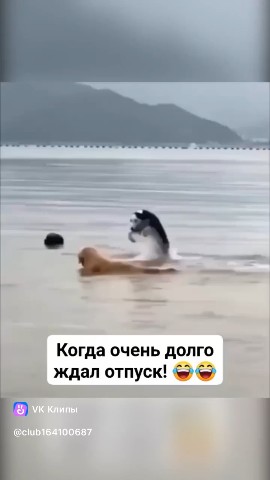 alla.kalashnikova232 в LOOKY — Именно так 😄😂