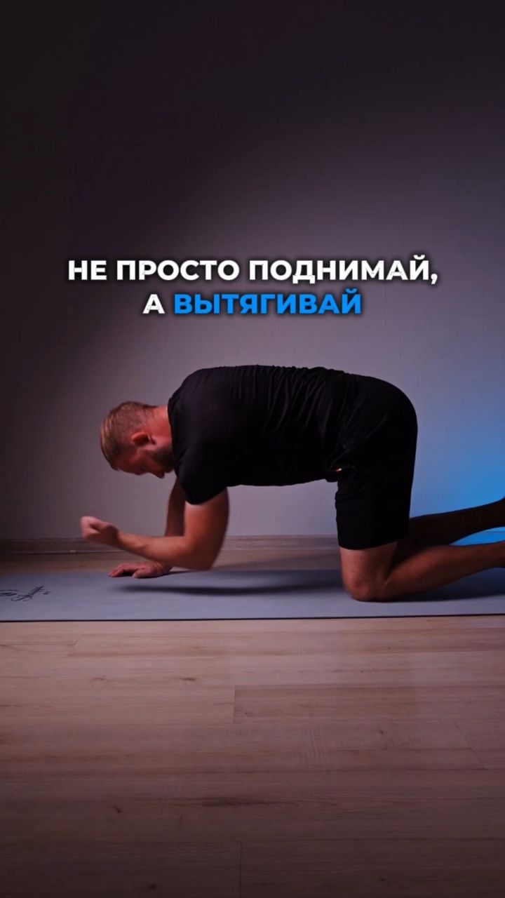 mdscoach в LOOKY — Птица - собака.

Хочешь получить доступ в КЛУБ стройности, г