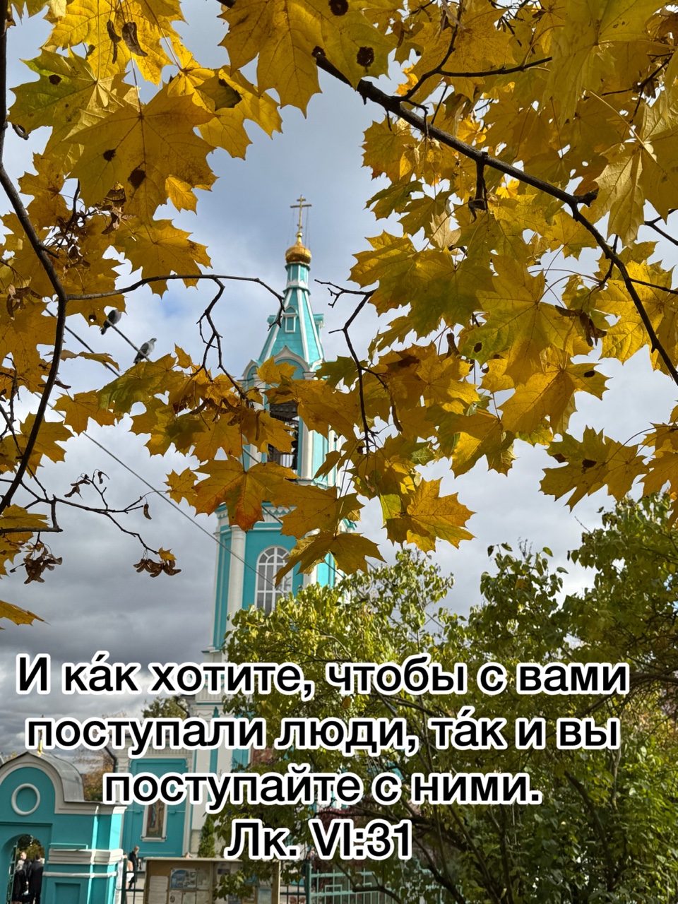 lyudmila_mishkoy в LOOKY — Евангелие от Луки
6:31 [Зач. 26.] И ка́к хотите, чтобы с вам