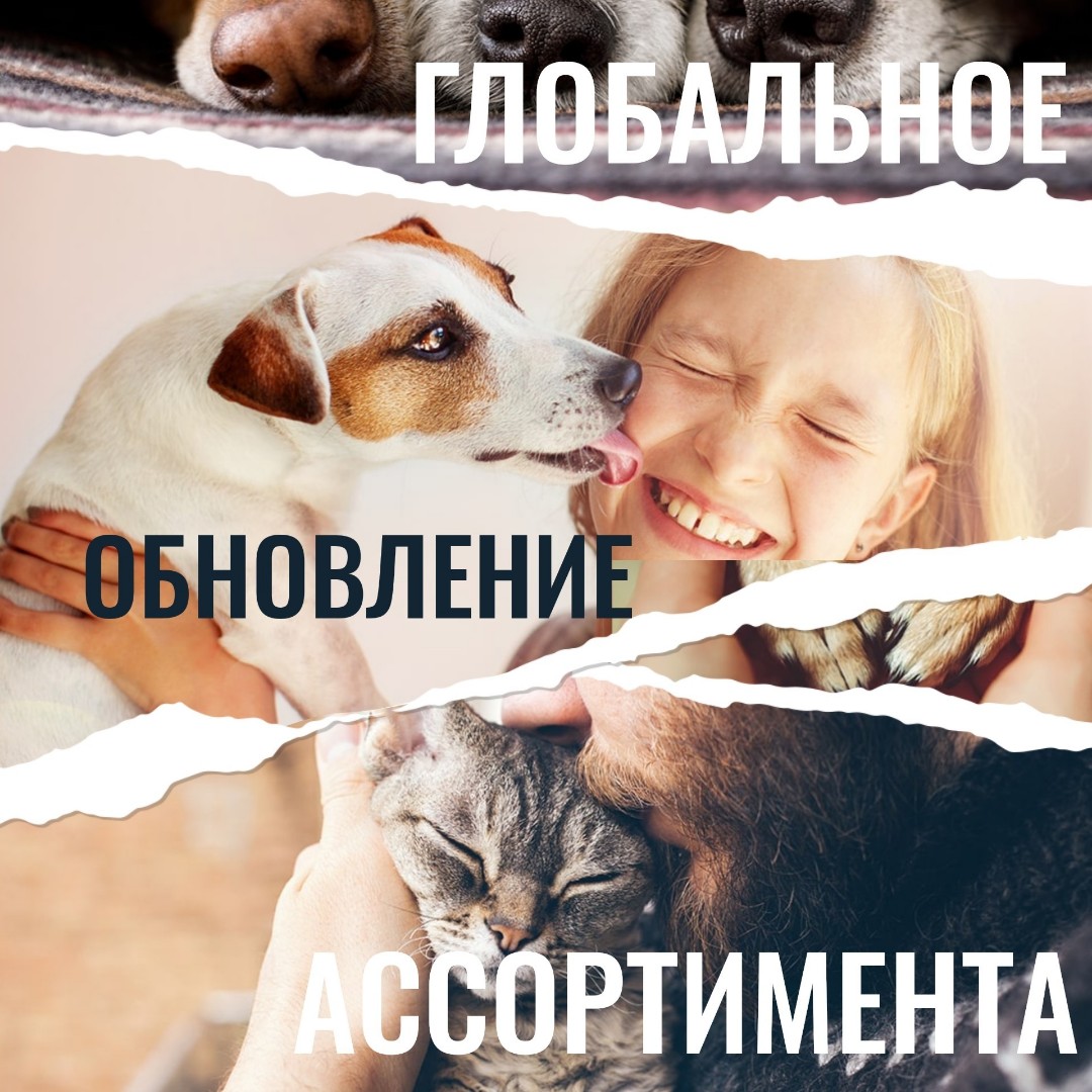 Кормолюб в LOOKY. . СКОРО🩷