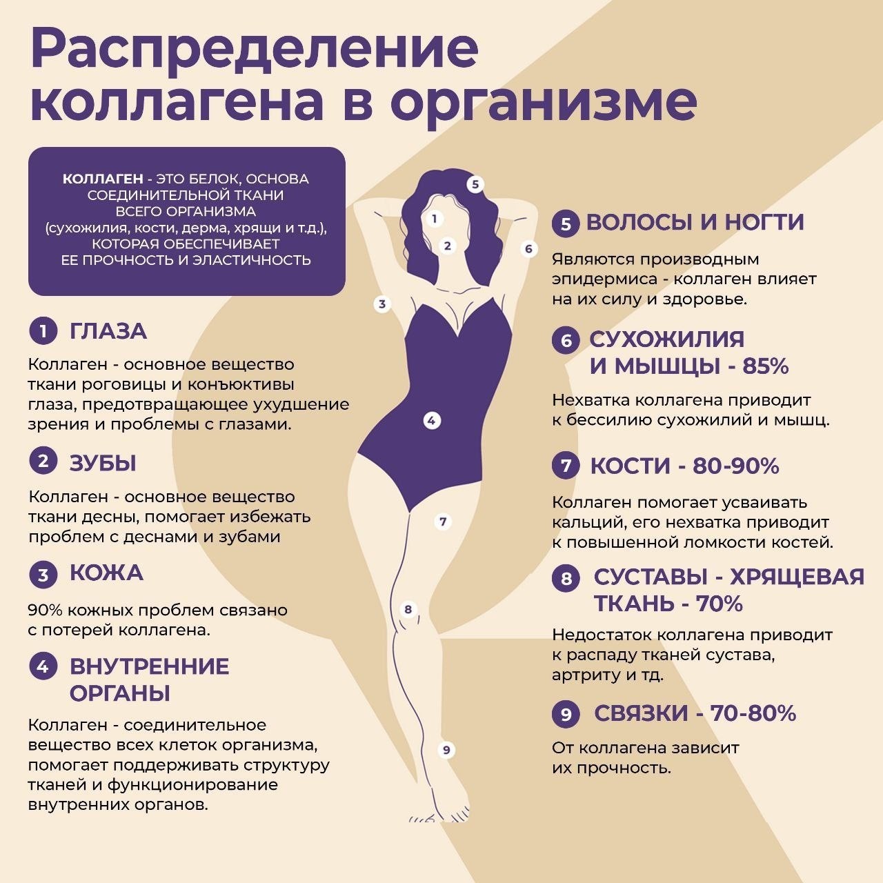 Looky_172839492733530 в LOOKY — ⁉️ Почему коллаген так важен для нашего здоровья

⚠️ Коллаге