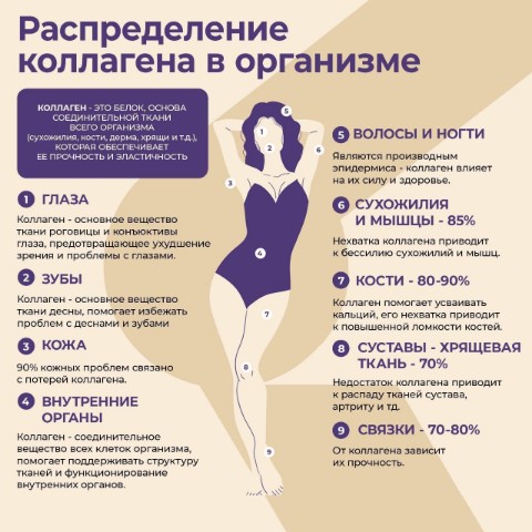 Ольга в LOOKY. #Коллаген,#здоровьесуставов,#молодостьорганизма. ⁉️ Почему коллаген т...