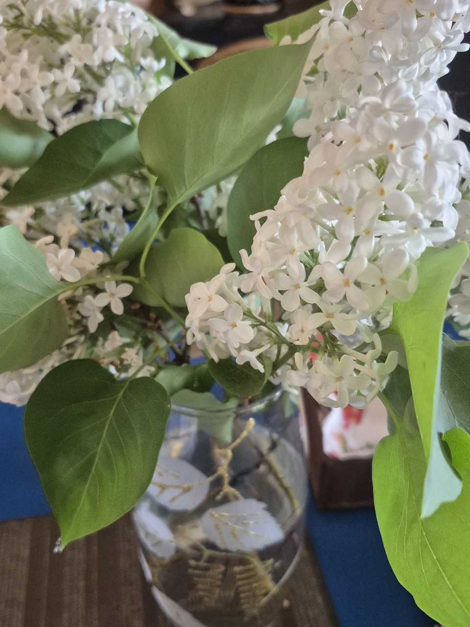На меня снова напала "кулинарная" лень. Наверно, правильней в кавычках, хотя...не суть. 
Просто не хочу готовить. Варить, жарить, резать...даже простую яичницу влом.
Но проблема еще в том, что чужое, будь то кафе-ресторан, я ем очень редко. В общем, берем себя в руки и вперед🫕
#нехочуготовить #ничегоиникому
