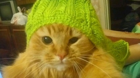 Looky_1688148367003 в LOOKY. . А это моя доморощенн...