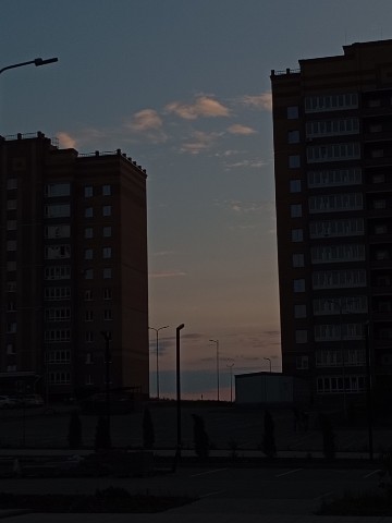 Рисовое поле в LOOKY. . 