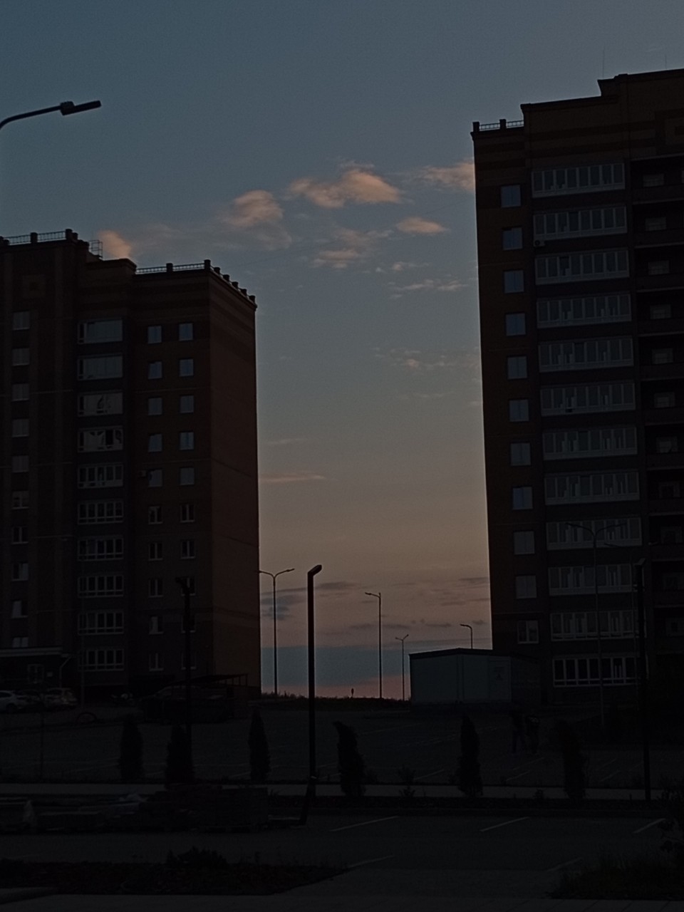 Рисовое поле
