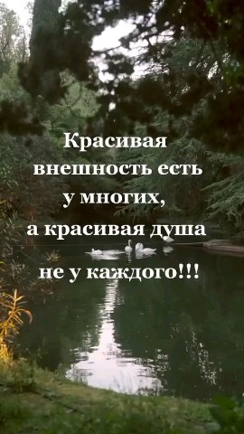 ВОЛК СЕРЫЙ в LOOKY — публикация