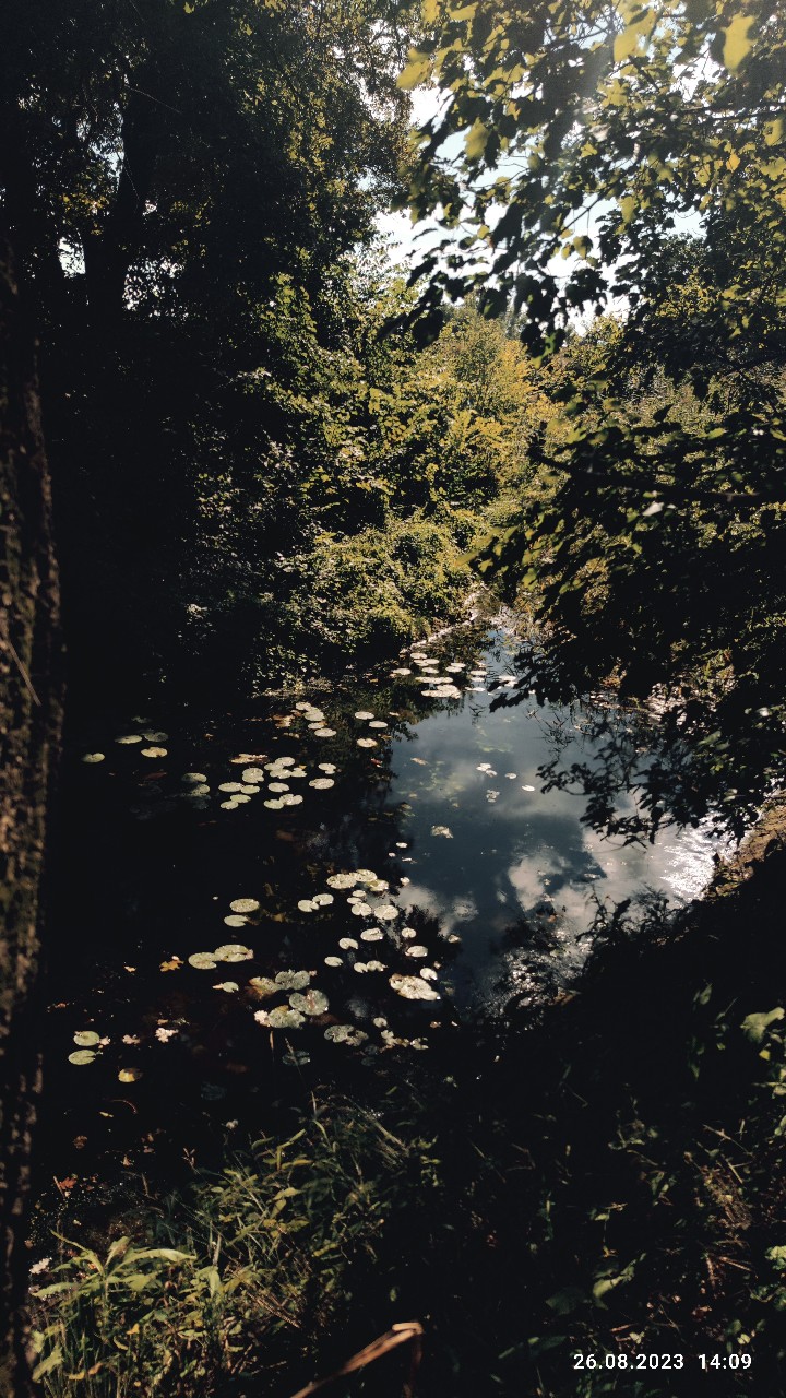 tank__666 в LOOKY — фото 9