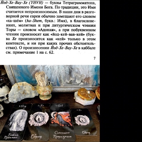 22_tree_life в LOOKY. . На фото выкладка име...