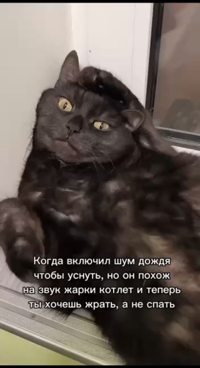 Looky_1720255255313 в LOOKY. . 