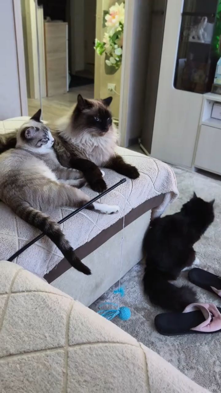 Ольга Marina в LOOKY — Мои милые 🥰🥰🥰