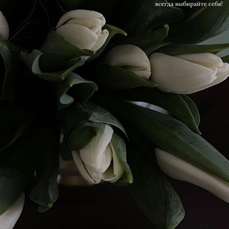 С праздником 💐

Милые дамы, Желаю всего всего самого доброго и светлого ! 

#праздник [#8марта](8марта) #весна [#поздравляю](поздравляю) 