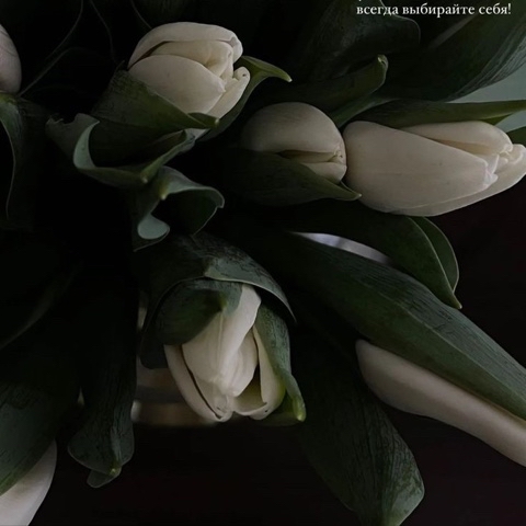 fialkavee в LOOKY. #праздник,#весна. С праздником 💐

Мил...