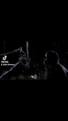 lainmuzic в LOOKY. #lainblossom,#TheVampireDiaries. Этот трек уже в сети...