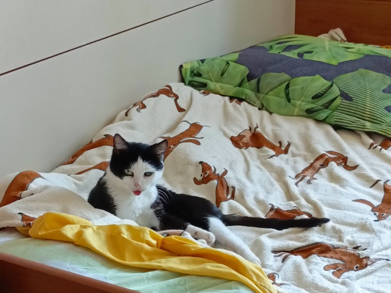 Гото Кохэйри в LOOKY — фото 3