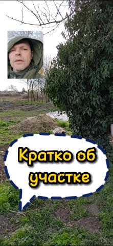 Беру и делаю в LOOKY. #строюсам,,#переезднаюг. Краткий видеообзор у...