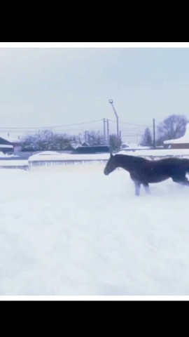 Деревенский Вайб в LOOKY. #russian_village,#изМегаполисаВдеревню,#жизньВдеревне. Russian winter.
Wint...