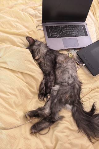 Looky_176947482201803 в LOOKY. . Всего понемногу.
Кот...