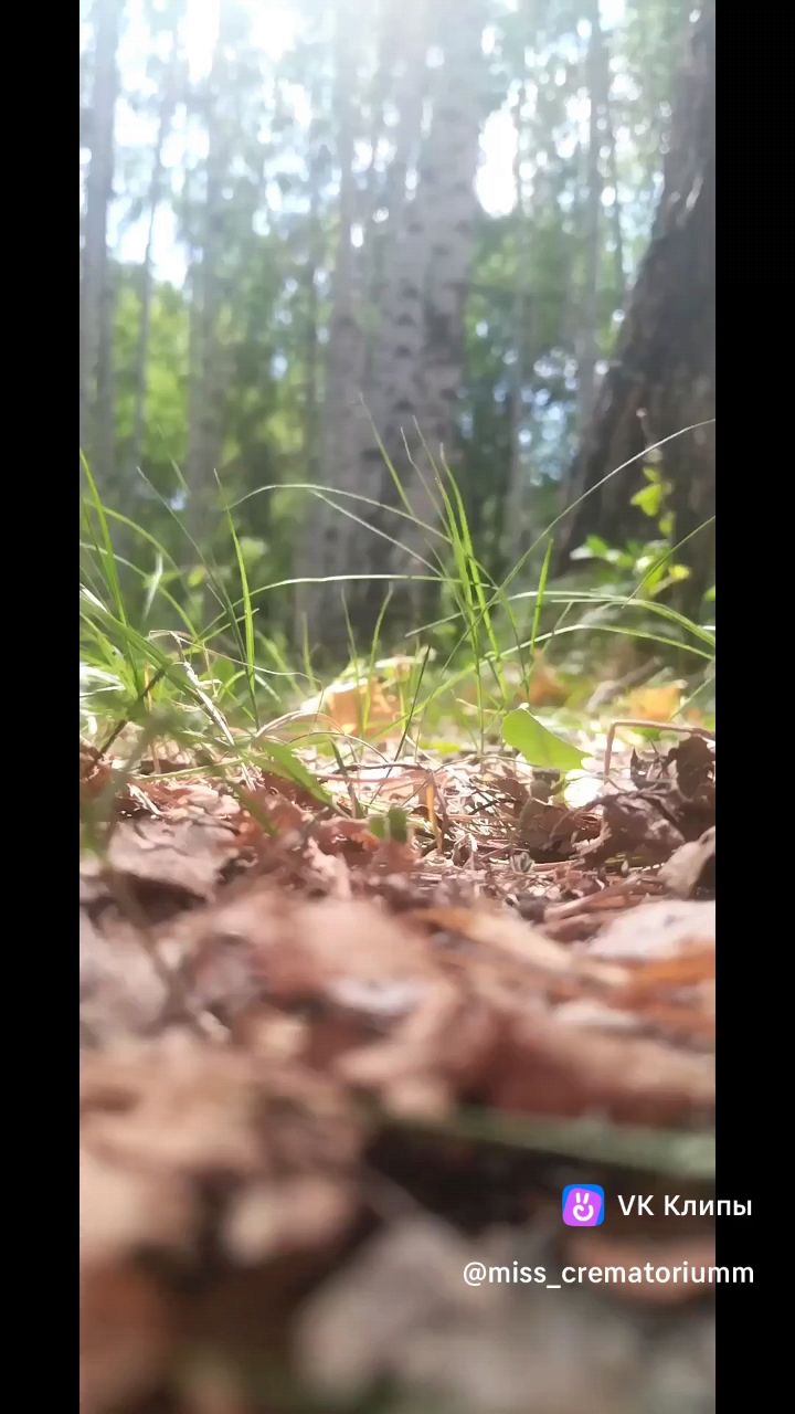 miss.crematorium в LOOKY. . Моё место силы 🙏🏽�...