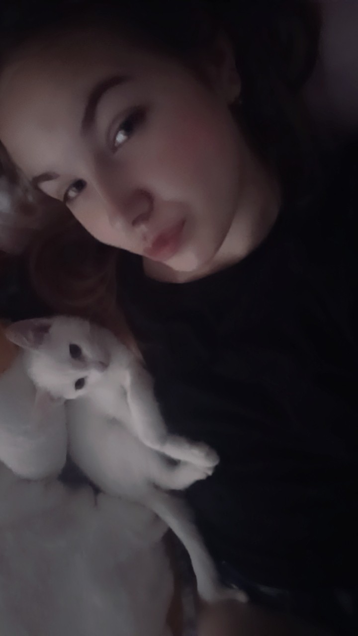 Котики😺