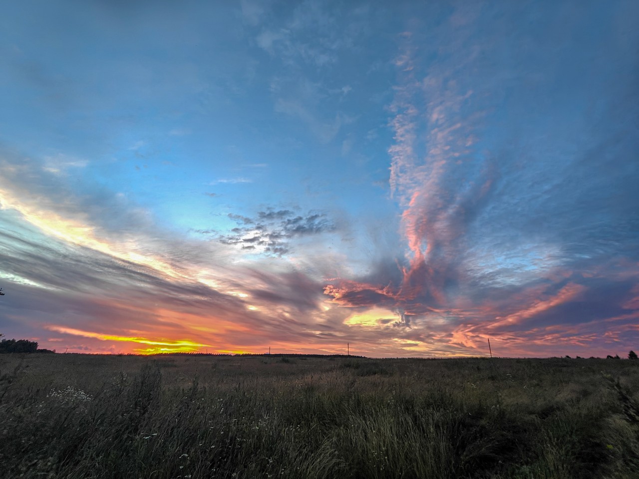 poboruev_landscape in LOOKY
