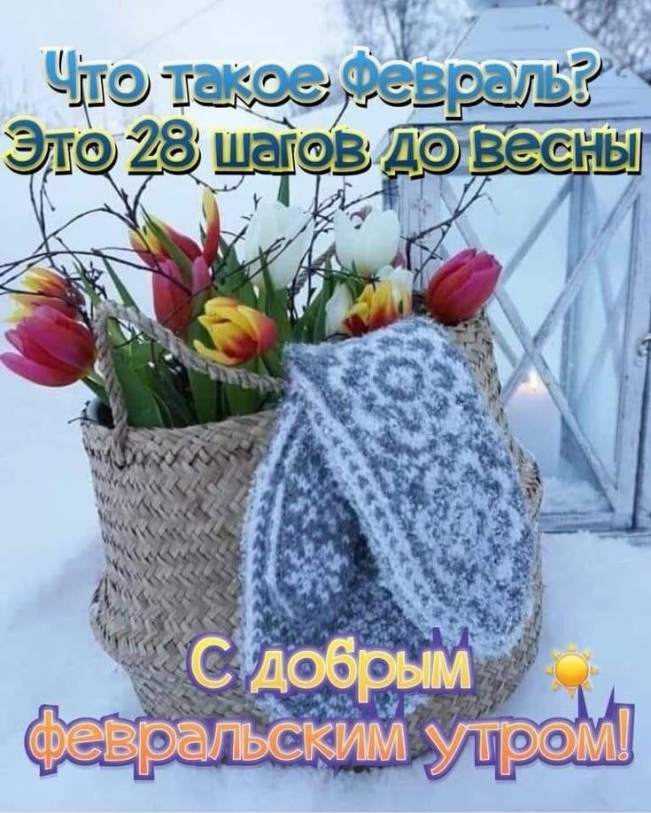 Олик Саргош в LOOKY — публикация