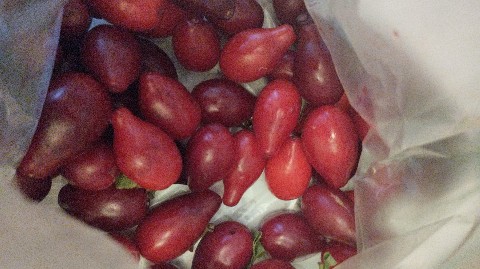 demetros76 в LOOKY. . Осень, одна из ассоц...