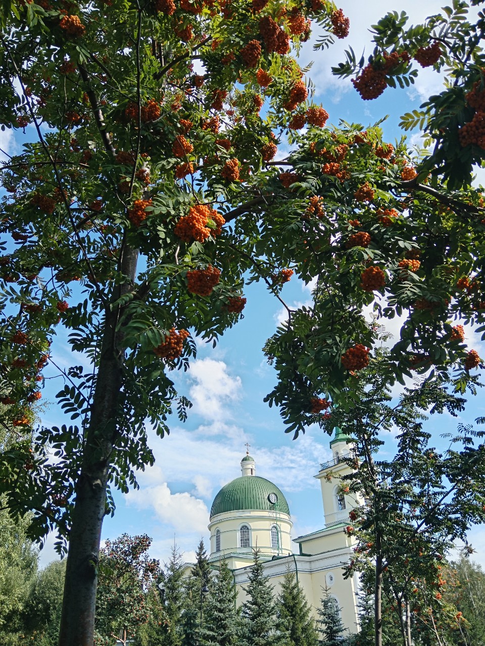 Olika - Дракончик в LOOKY — фото 2