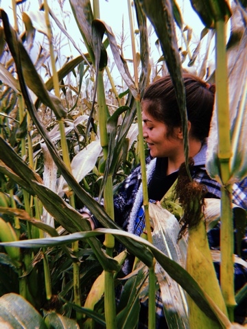 AgathainMoscow в LOOKY. . Do you like corn 🌽