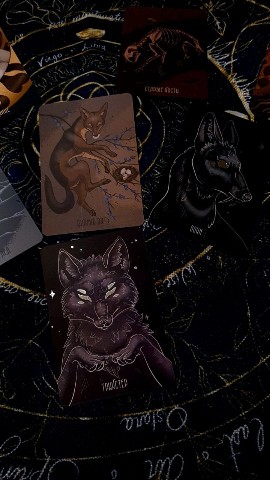 Verbena в LOOKY. #tarotreading,#tarot,#taro,#magic. #tarotreading #tarot...