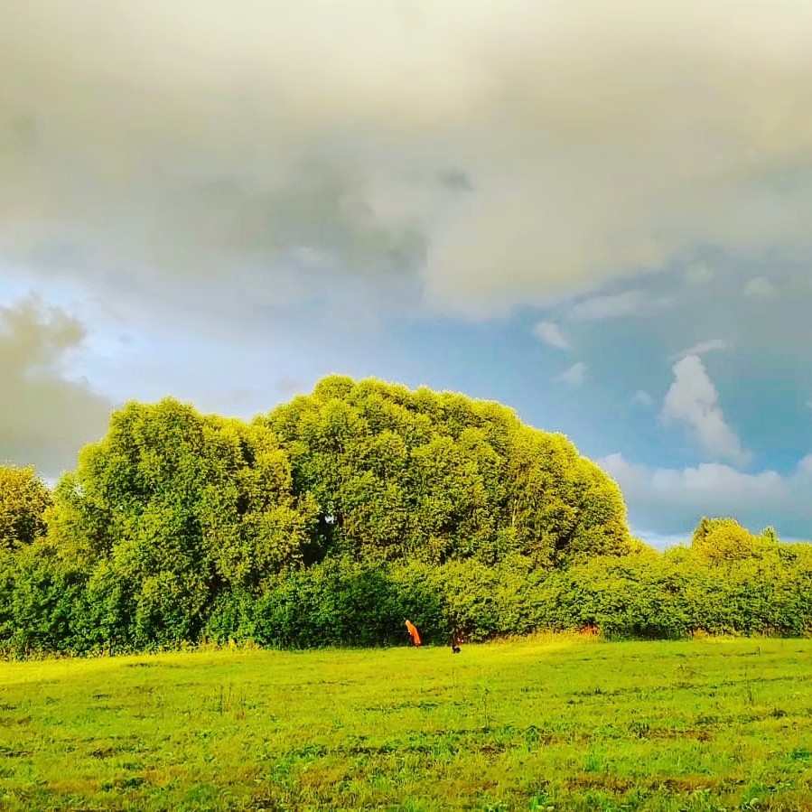 Kamenka в LOOKY — фото 2
