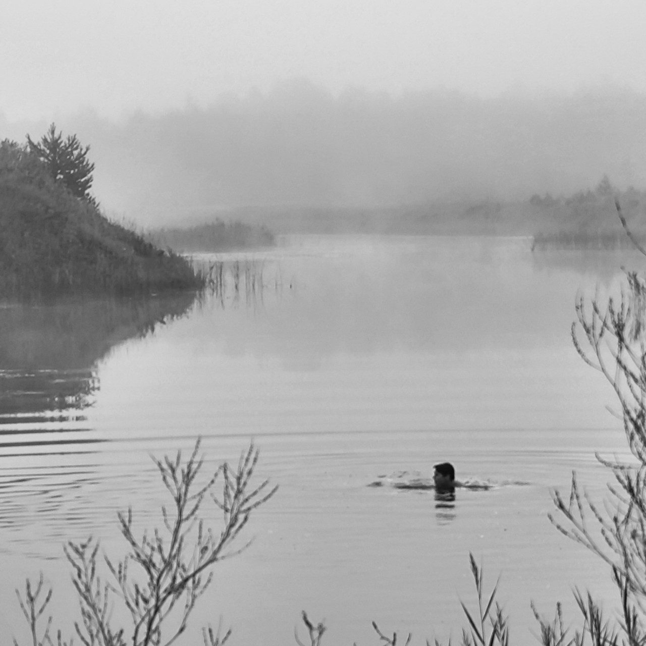 Kamenka в LOOKY — фото 6