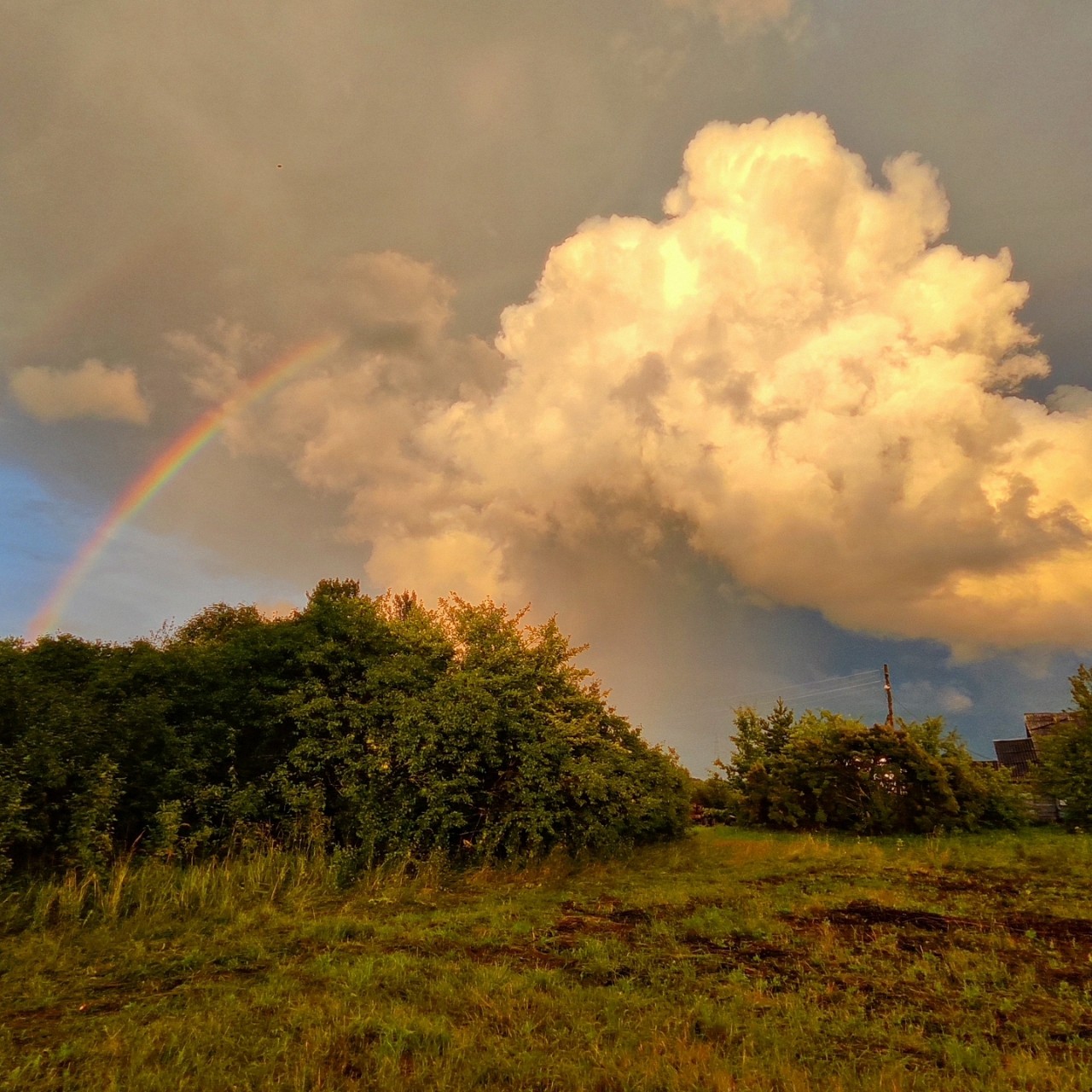 Kamenka в LOOKY — фото 3