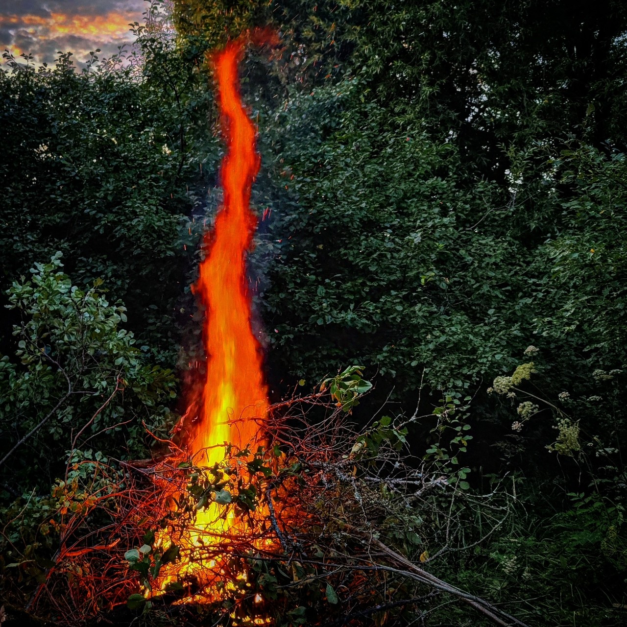 Kamenka в LOOKY — фото 5