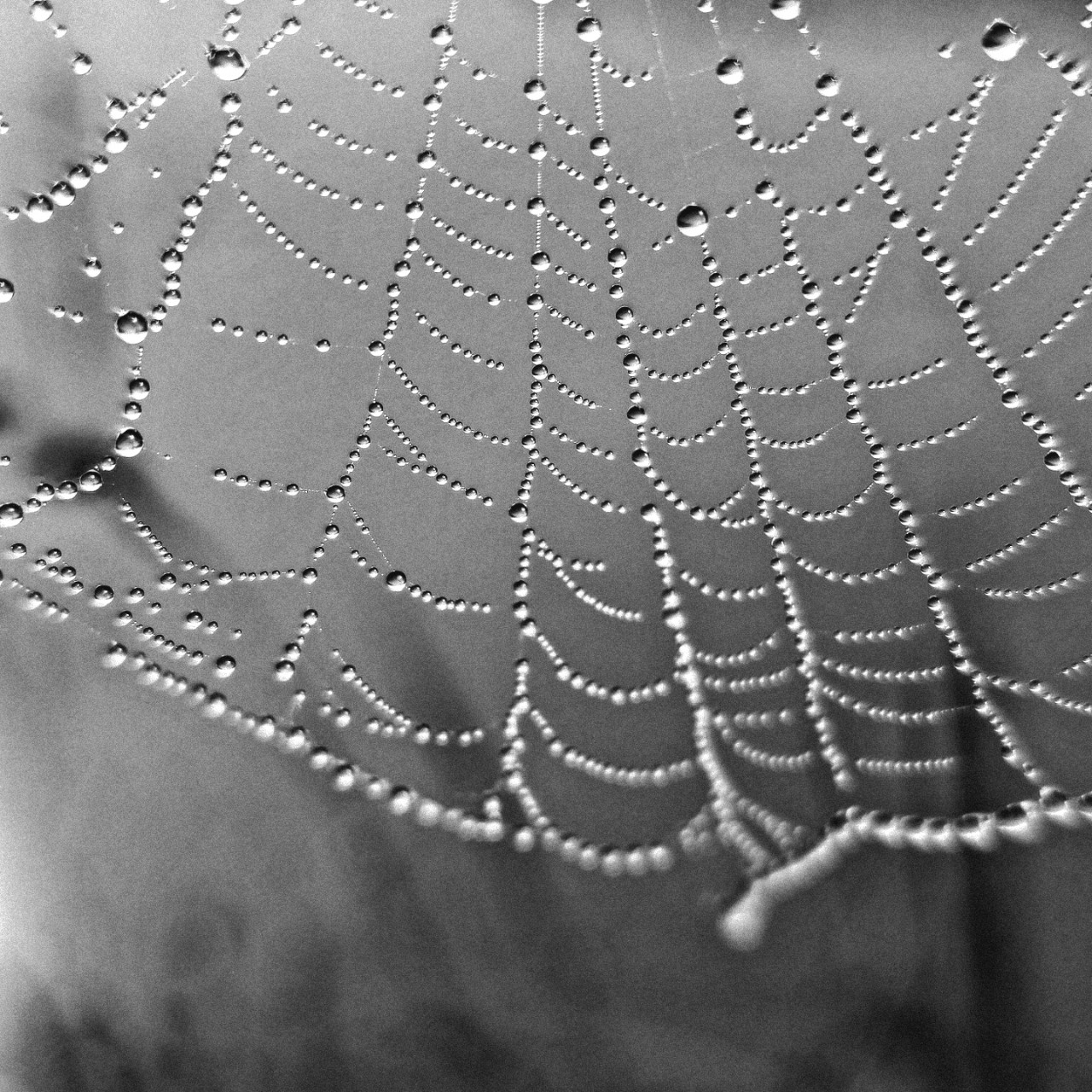 Kamenka в LOOKY — фото 4