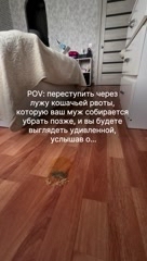 lifestyle influencer  блогерств в LOOKY. . О, ужас! Была кошачь...