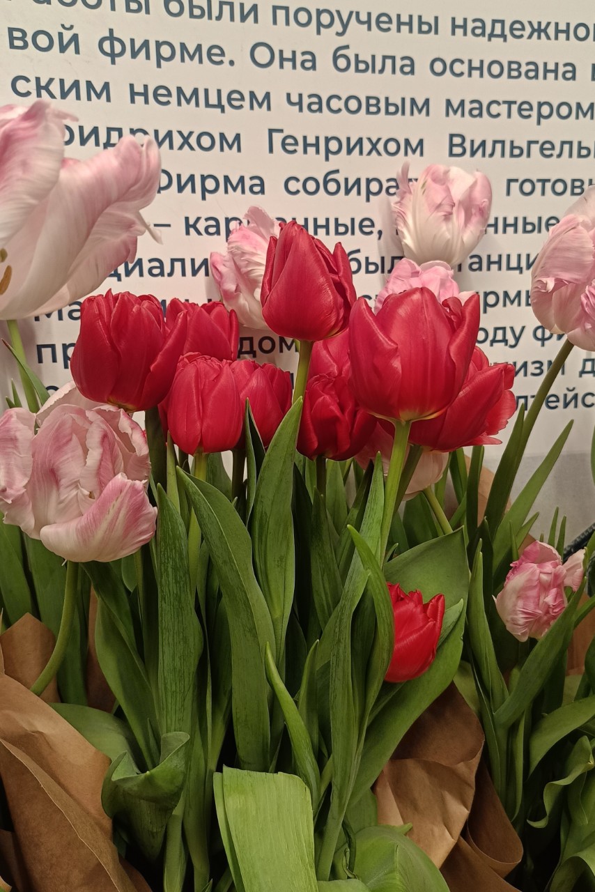 elena.bogdanovha в LOOKY. . 