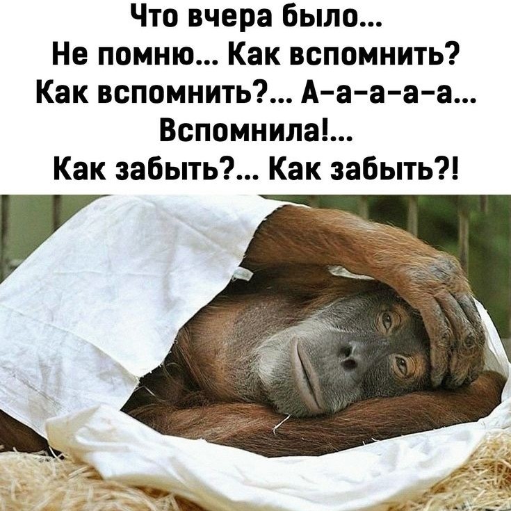 Nirvana в LOOKY — публикация