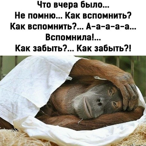 Nirvana в LOOKY. . 