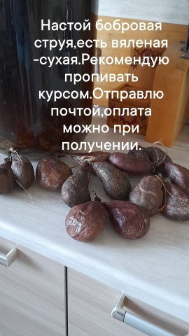 Бобровая Струя Настой-Вяленая в LOOKY. . Настойка Бобровая ст...