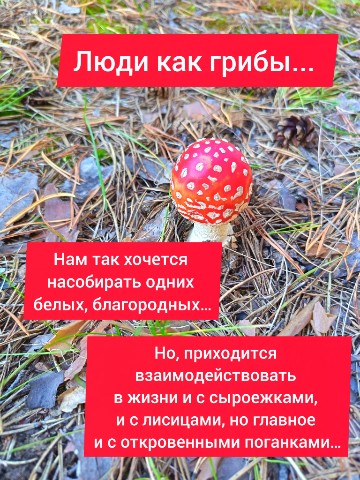 Looky_1690939111342 в LOOKY. . 