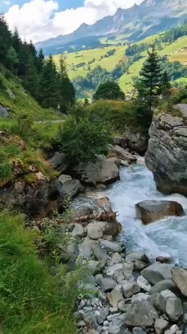 Tata19 в LOOKY — Красота безгранична 🌲🌲🌲